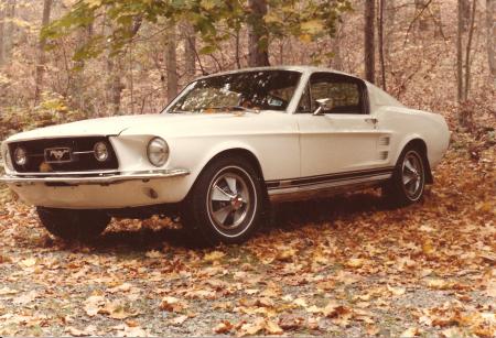 My White Mustang