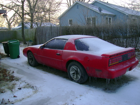 cherryred with ice