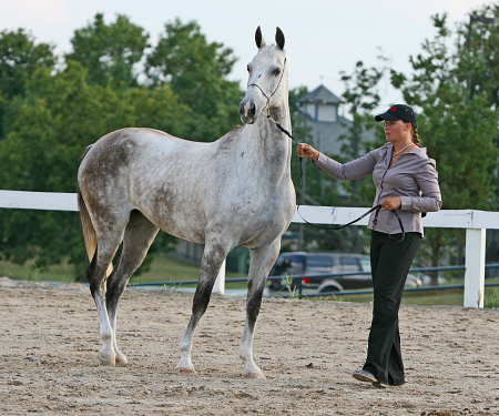 Me and one of my horses