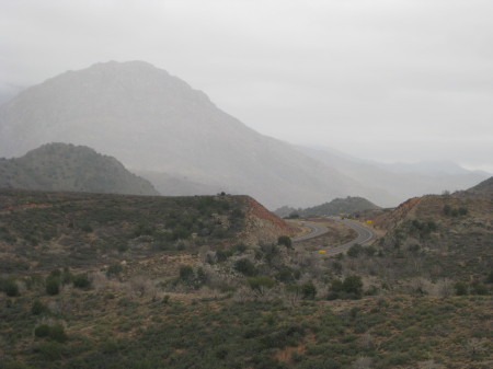 Javalina Hunt