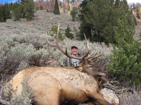 Nevada Elk tag