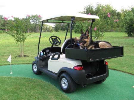 Saber in his golf cart.