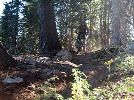 downieville9