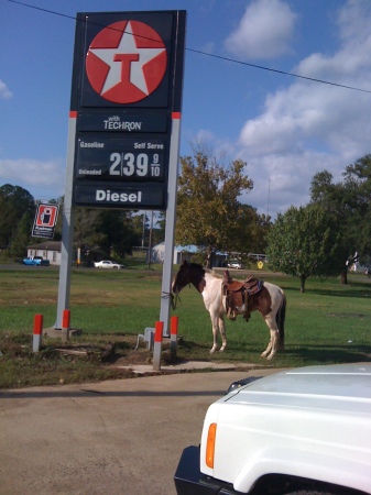 So did the horse run out of fuel?