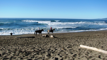 Salmon Creek Beach