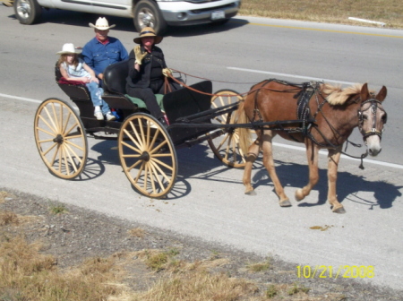 Me driving our buggy in Red Stegall wagon trai