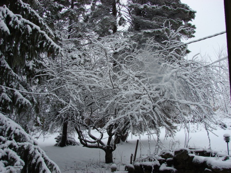 Spring Snowstorm  03-28-09