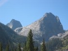 " Grenadiers from Vestal Creek drainage "