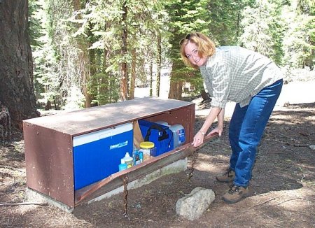 Susan and Bear Box