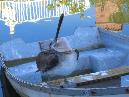 A walk around the Venice canals