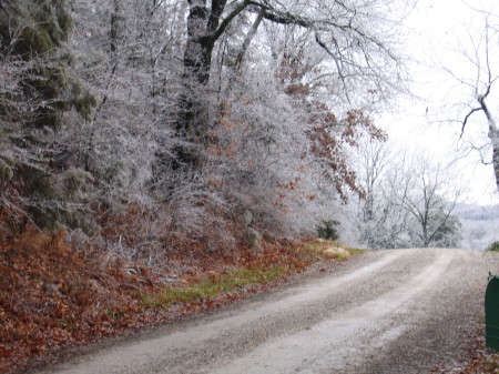 Winter on Krone Road