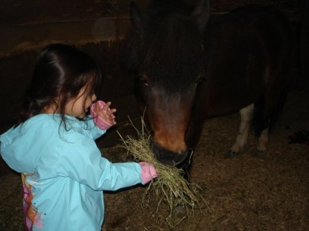 Feeding her pony Rosie