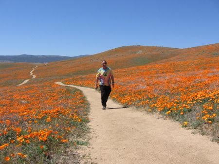 Antelope Valley Poppy Preserve