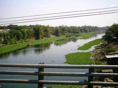 Green River with Water Lillies