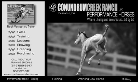 Ad for CCR Performance Horses