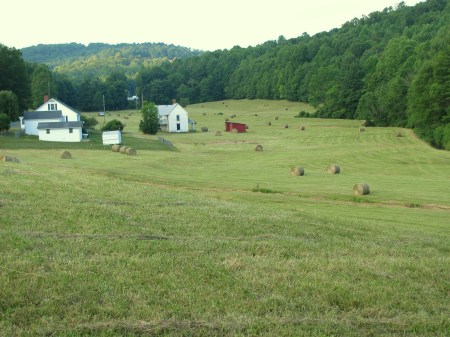 Making Hay on farm.