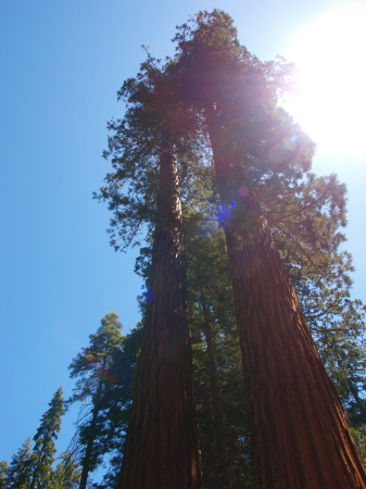 Yosemite