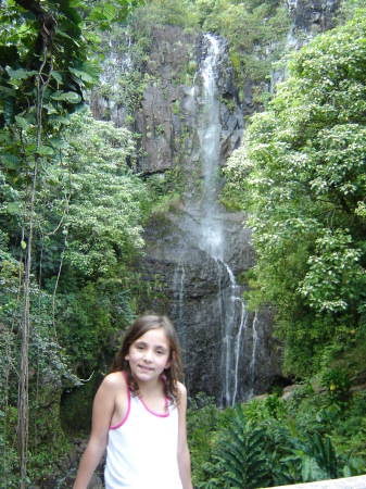 Maui, 2008