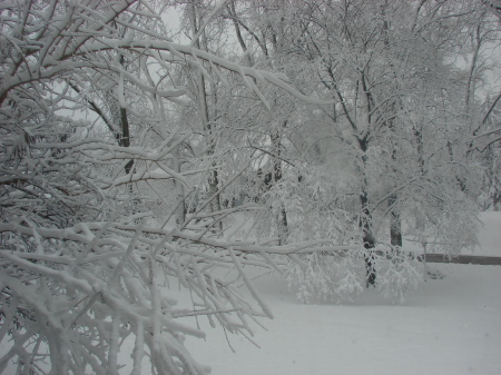 Spring Snowstorm  03-28-09