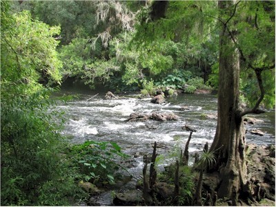 HillsboroughRiverSP_rapids