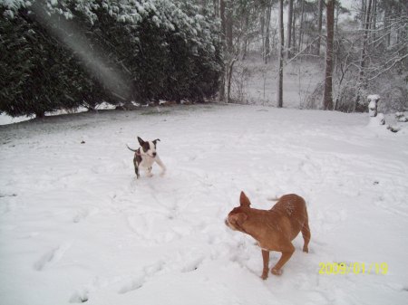 Daisy Duke and Roscoe in NC SNOW