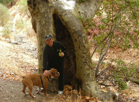 Hiking with Clyde