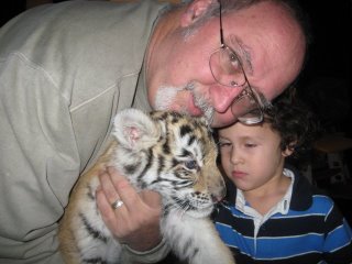 baby tiger makes three