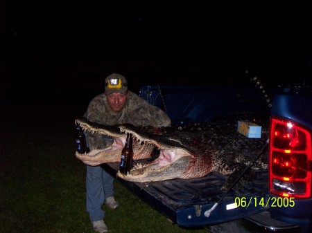 My gator hunt