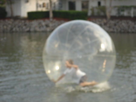 Houston in a bubble