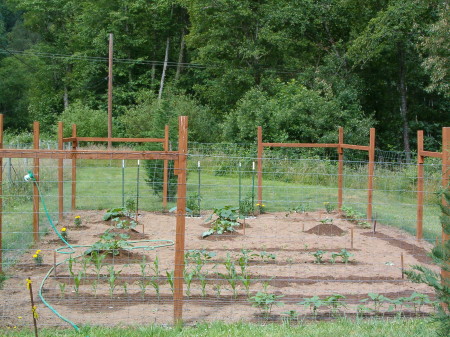 garden 09 007