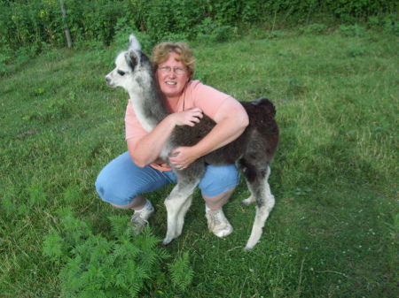 My sister Jenn with her cria June Bug