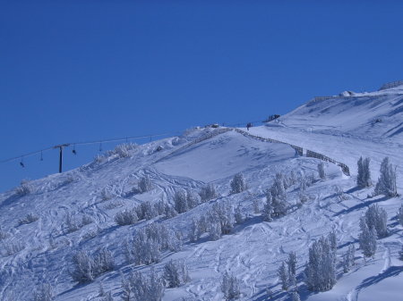 Mammoth - Feb 21-23- 2010 015