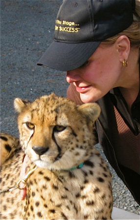 V & Cheetah 2