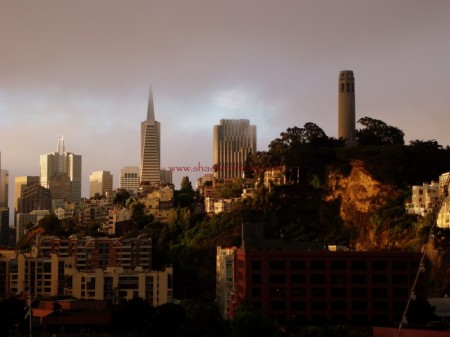 SF view from a cruise ship