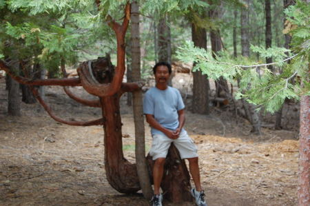 Land of 1000 Giants, Tulare Cty, CA (2008)