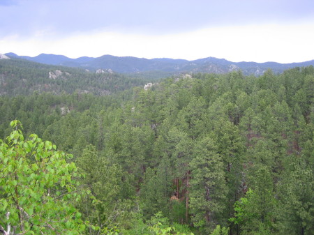 Black Hills, SD