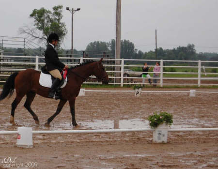 Grand Champion Dressage