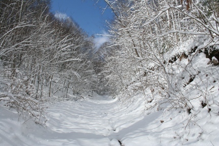 Snowey walk