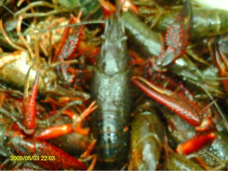 2nd crawfish boil