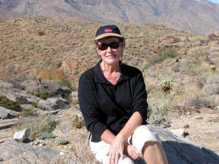 Hiking in Palm Canyon, Palm Springs, CA