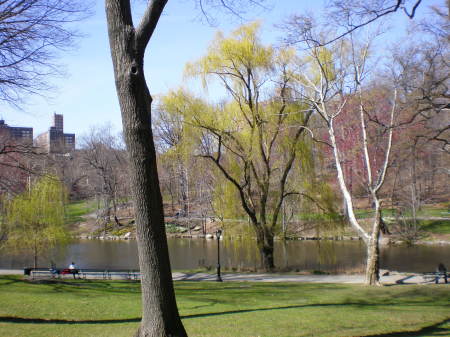 Central Park in Spring