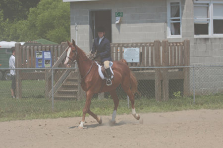 Horse Show 7.11.09 066