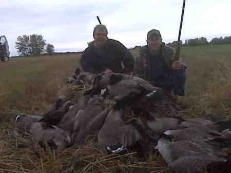 Geese at Hines Creek 2009