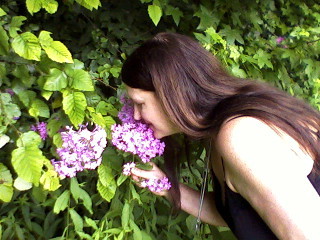 smell the flowers