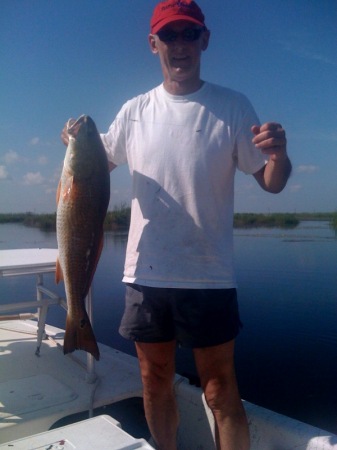 redfish.2