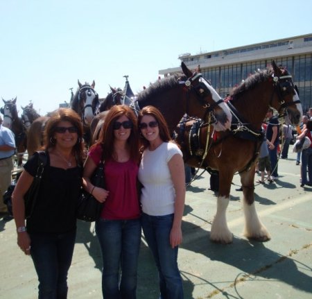 Oaklawn Horse Park-Hot Springs