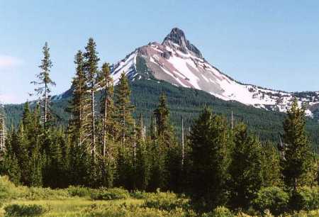 Mt. Washington