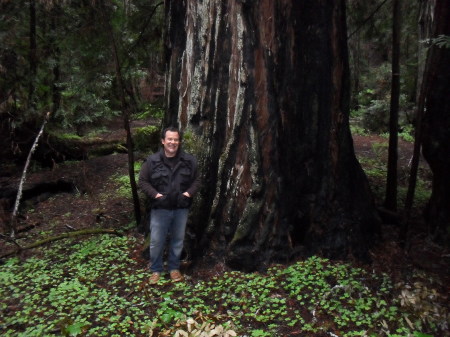 montgomery woods