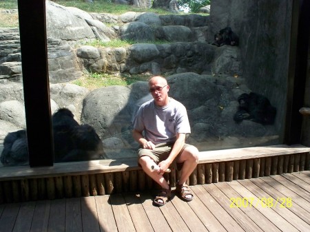 knoxville zoo