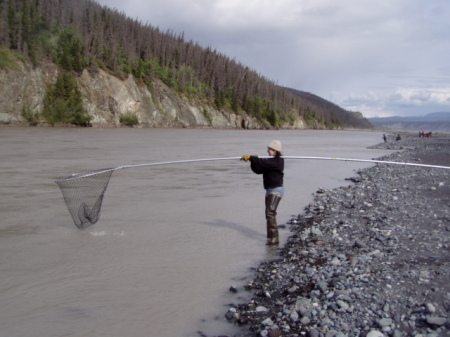 Dipping for Salmon on Copper River